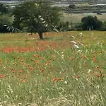 En Bois Entre Terre Et A - Fr-1-306-1081 Guerande